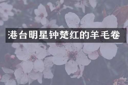 港台明星钟楚红的羊毛卷