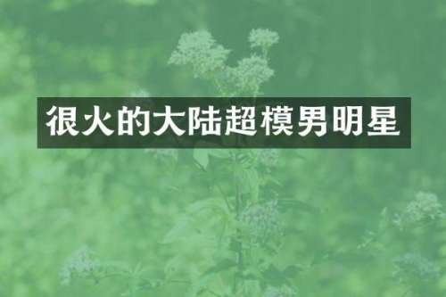很火的大陆超模男明星