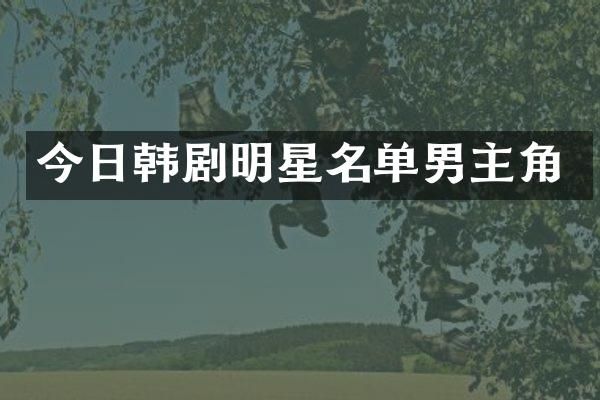 今日韩剧明星名单男主角