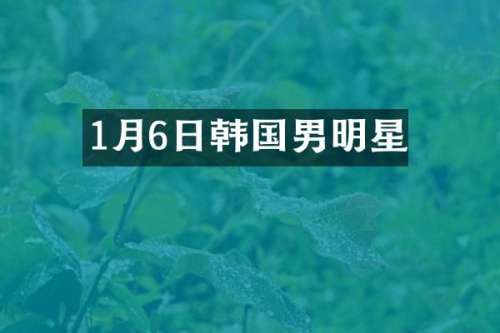 1月6日韩国男明星