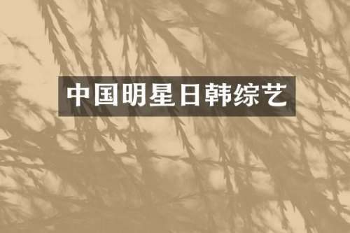 中国明星日韩综艺
