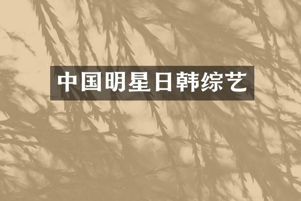 中国明星日韩综艺