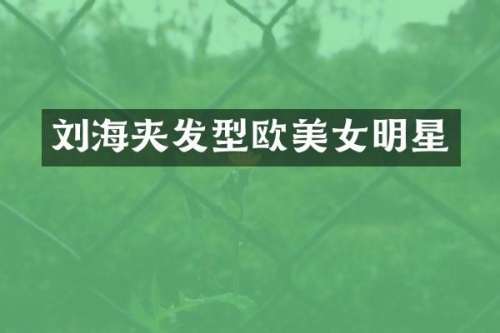 刘海夹发型欧明星
