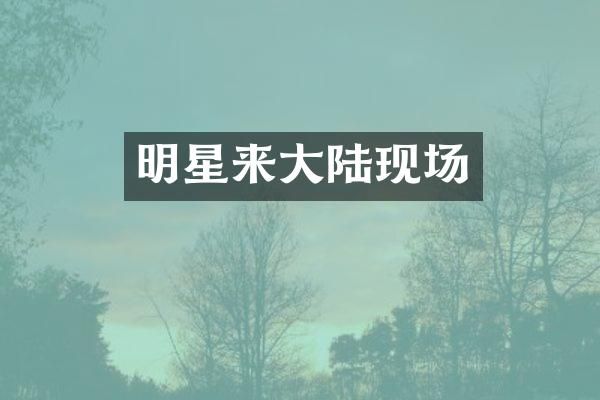 明星来大陆现场