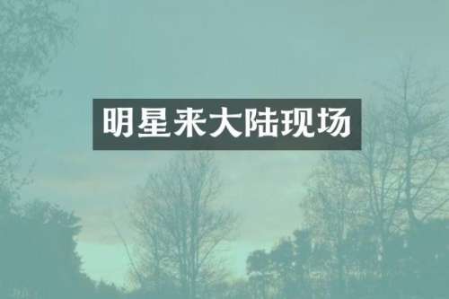 明星来大陆现场