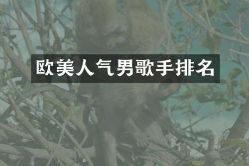 欧美人气男歌手排名