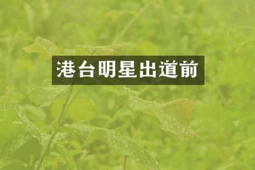 港台明星出道前
