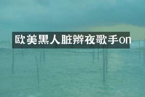 欧美黑人脏辫夜歌手on