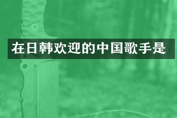 在日韩欢迎的中国歌手是