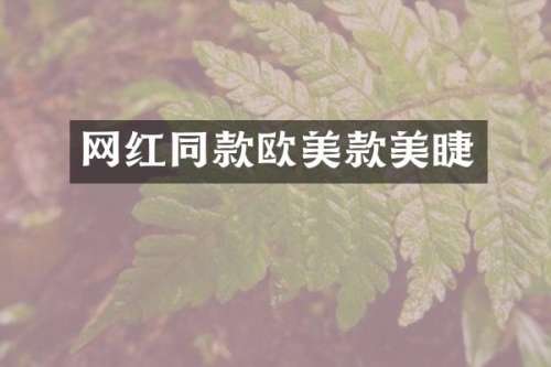 网红同款欧美款美睫