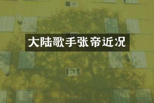 大陆歌手近况