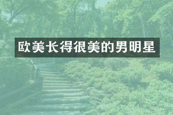 欧美长得很美的男明星