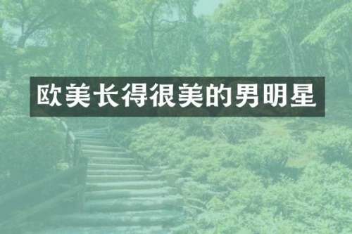 欧美长得很美的男明星