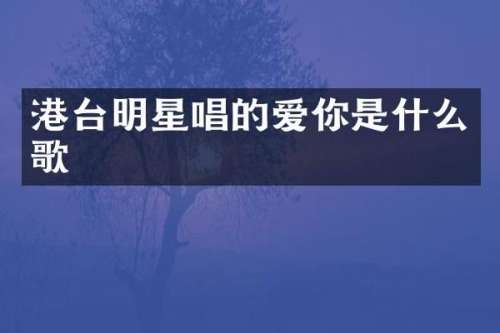港台明星唱的爱你是什么歌