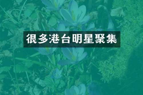 很多港台明星聚集