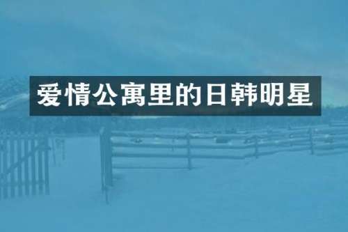 爱情公寓里的日韩明星