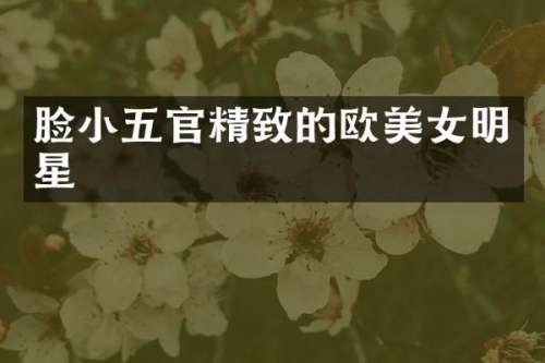 脸小五官精致的欧明星