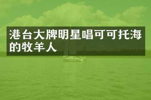 港台大牌明星唱可可托海的牧羊人