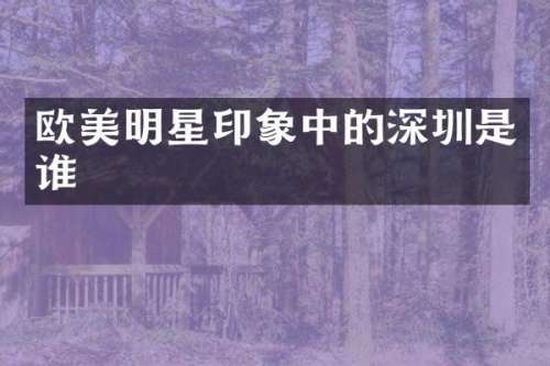 欧美明星印象中的深圳是谁