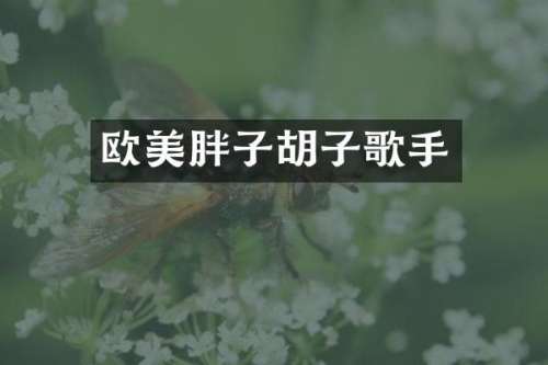 欧美胖子胡子歌手