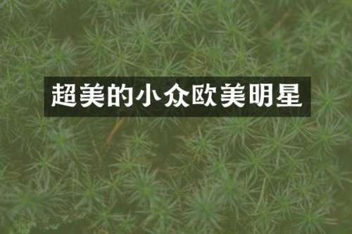 超美的小众欧美明星