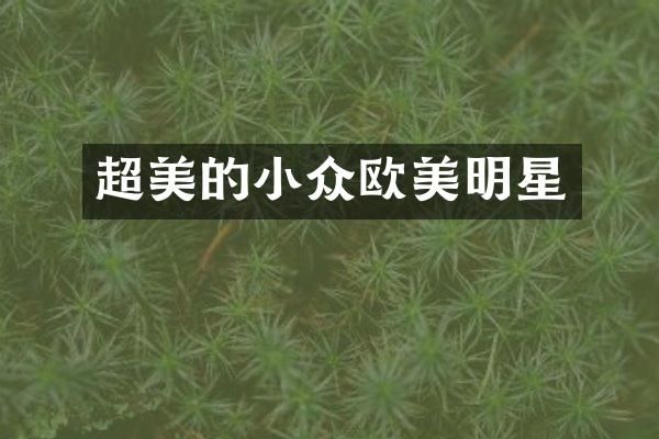 超美的小众欧美明星