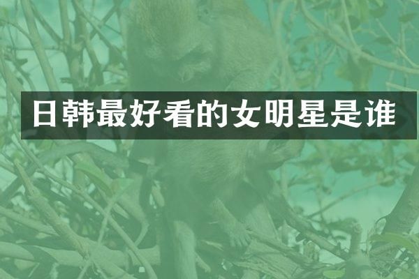 日韩最好看的女明星是谁