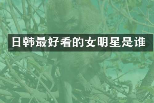 日韩最好看的女明星是谁