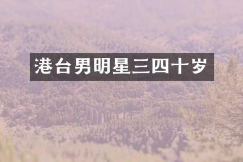 港台男明星三四十岁