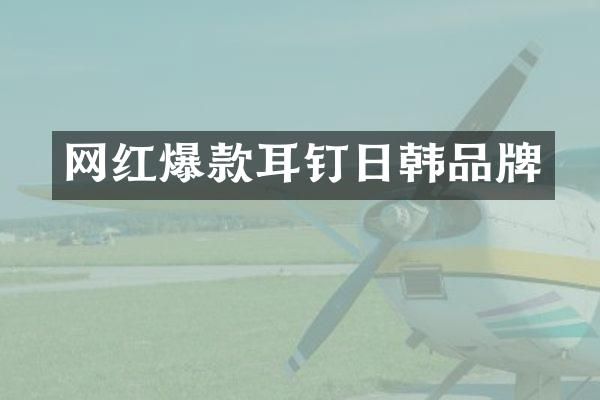 网红爆款耳钉日韩品牌