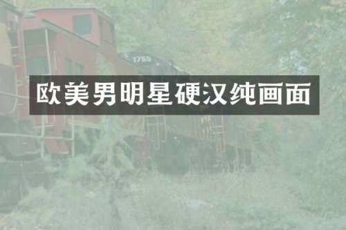 欧美男明星硬汉纯画面