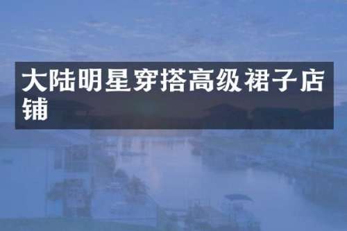 大陆明星穿搭高级裙子店铺