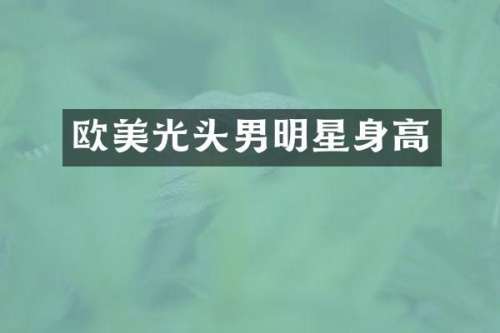欧美光头男明星身高