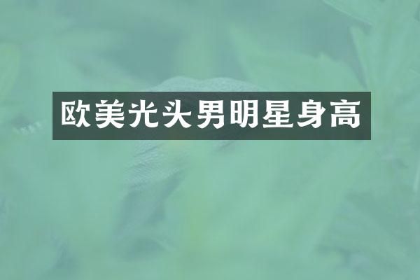 欧美光头男明星身高