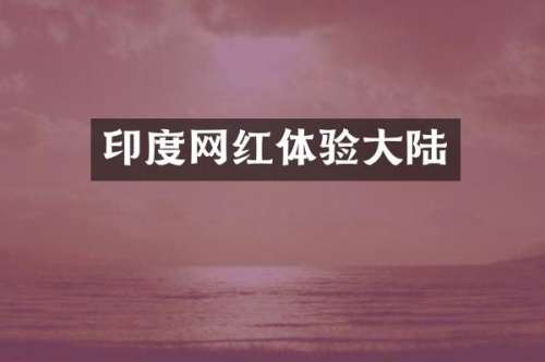 印度网红体验大陆