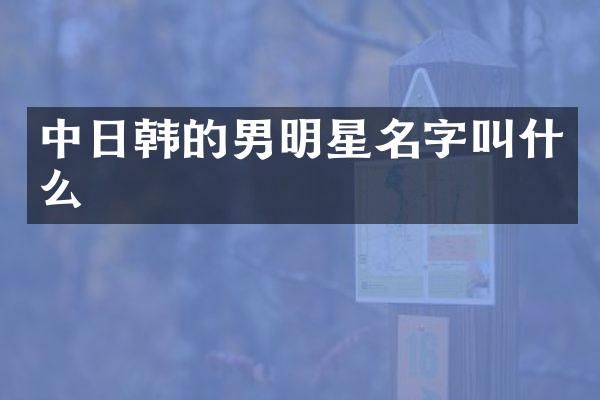 中日韩的男明星名字叫什么