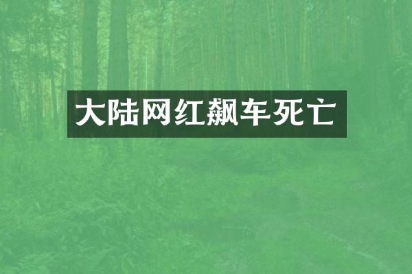 大陆网红飙车死亡