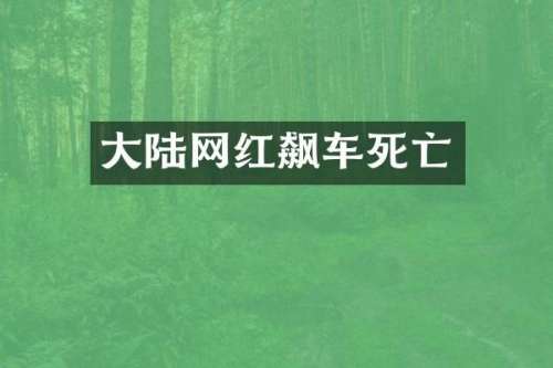 大陆网红飙车死亡