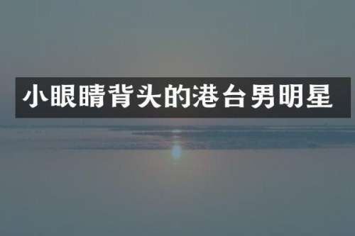 小眼睛背头的港台男明星