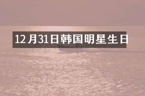 12月31日韩国明星生日