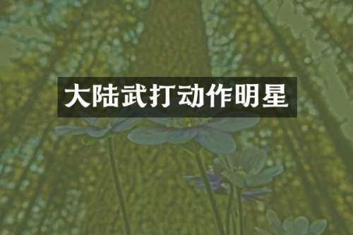 大陆武打动作明星