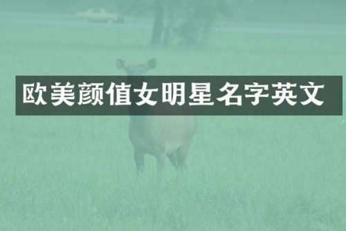 欧美颜值女明星名字英文