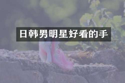 日韩男明星好看的手