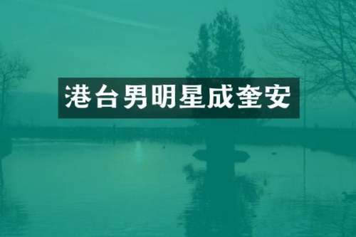 港台男明星成奎安