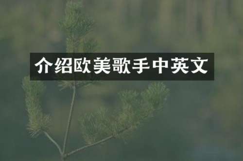 介绍欧美歌手中英文