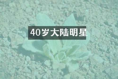 40岁大陆明星
