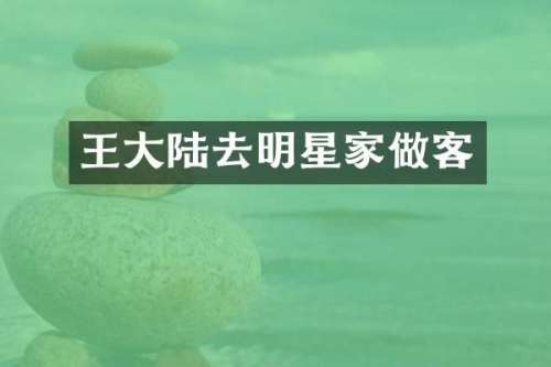 王大陆去明星家做客