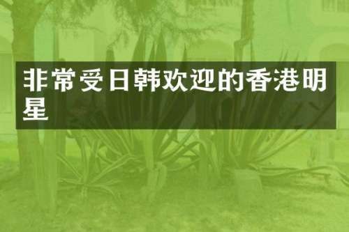 非常受日韩欢迎的香港明星