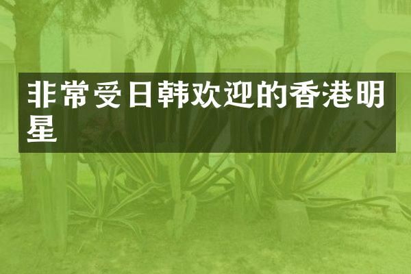 非常受日韩欢迎的香港明星