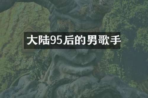 大陆95后的男歌手